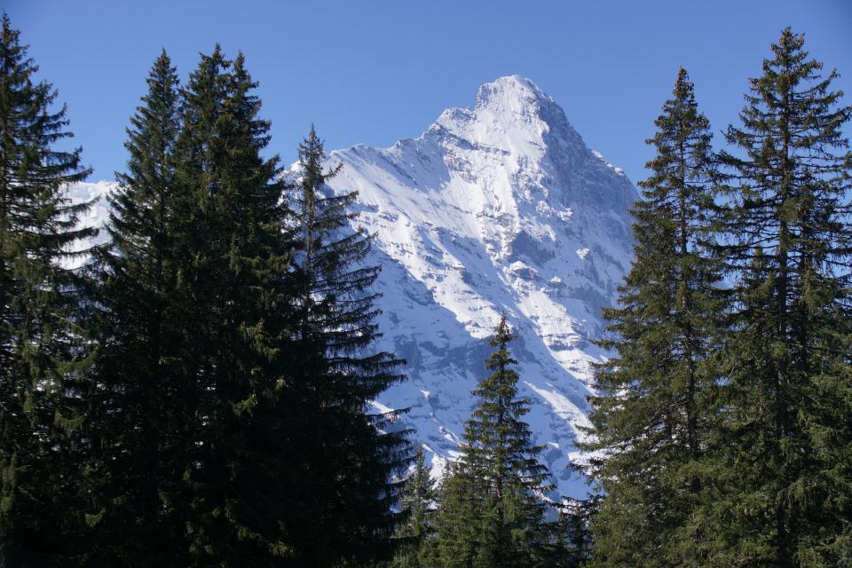 BERGE FRÜHLING