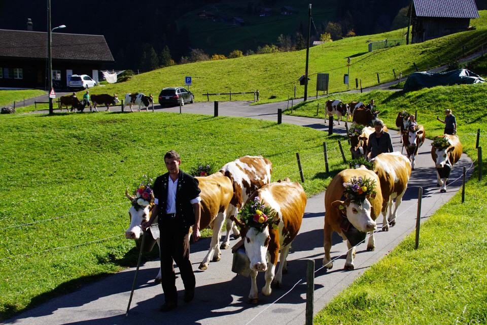 LEUTE-LAND-TIERE