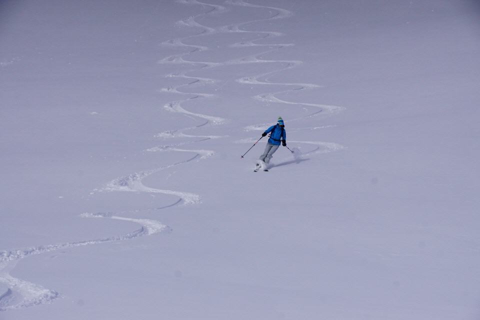 GEMSBÄRG 20. JANUAR 2019