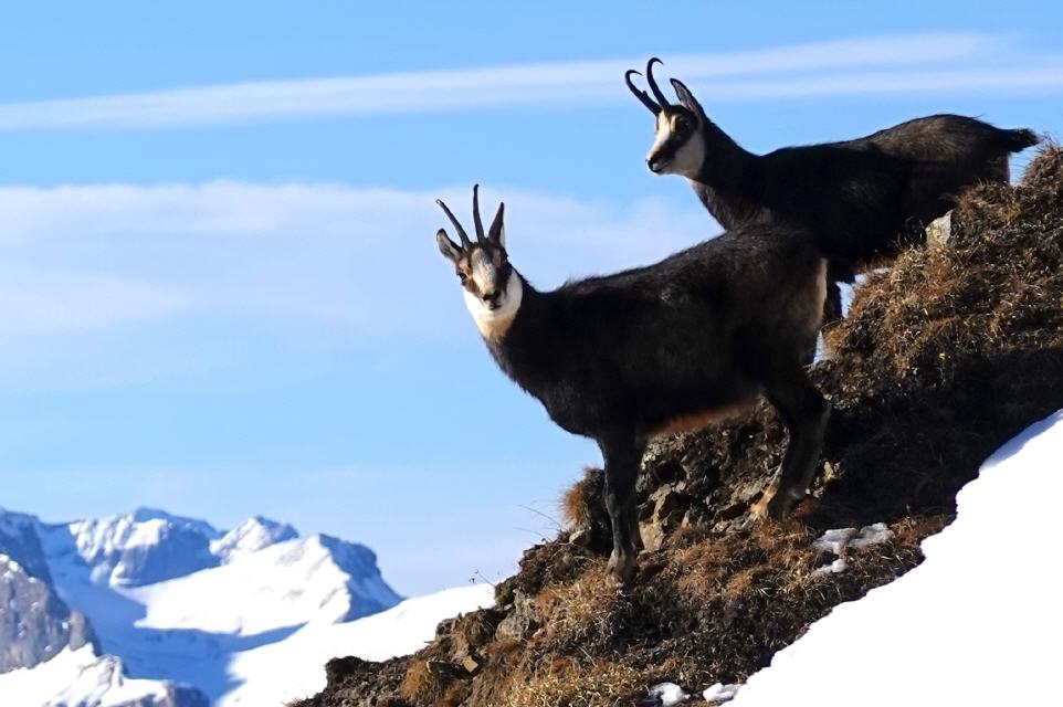 FERNANDEZHÜTTE 15. JANUAR 2020