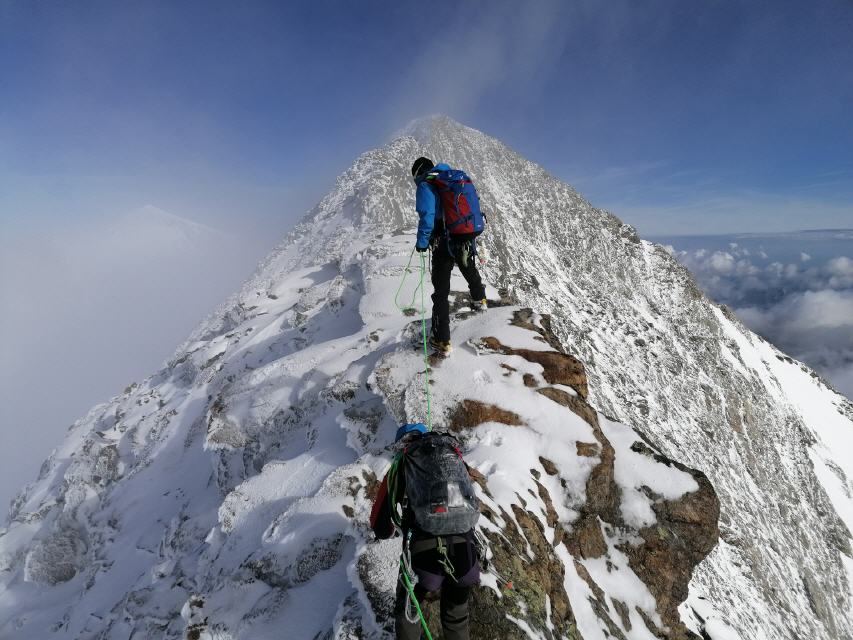 ROSENHORN 25. Juli 2020