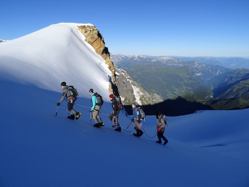 ROSENHORN 14. JULI 2014