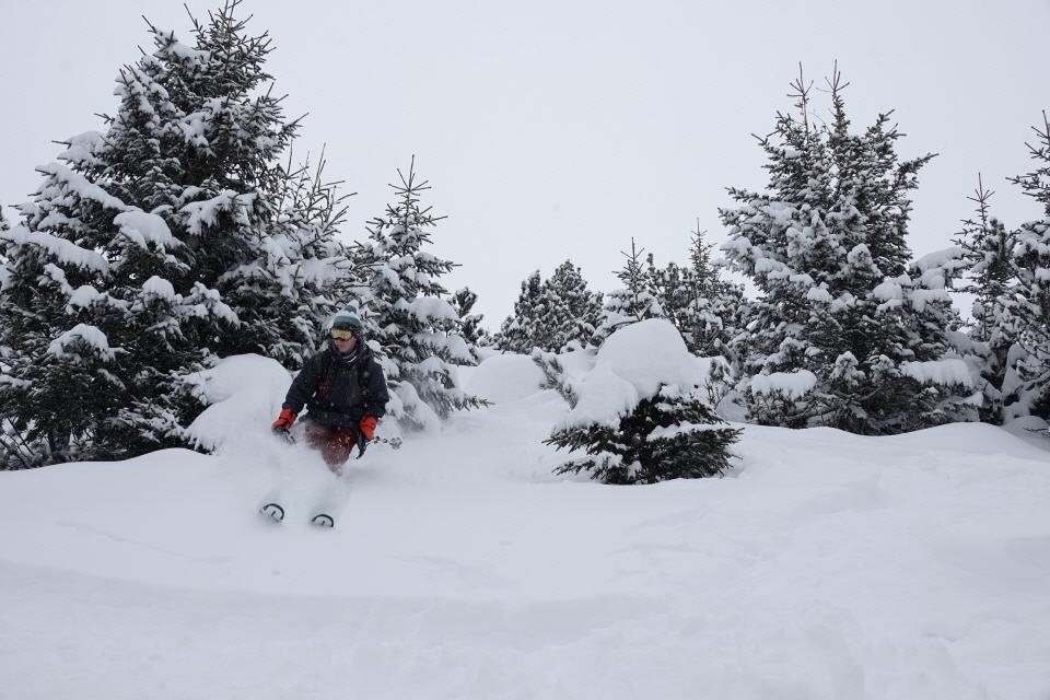 KLEINE SCHEIDEGG 3. FEBRUAR 2019